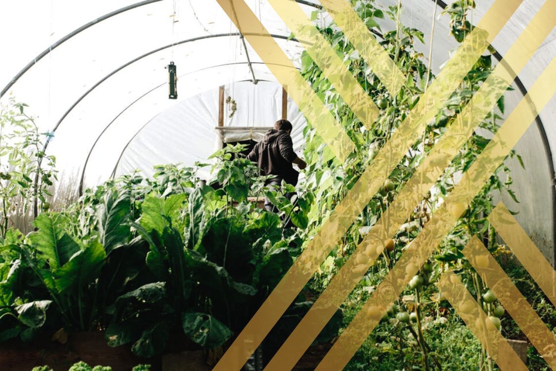 Seasonal Worker Visa UK